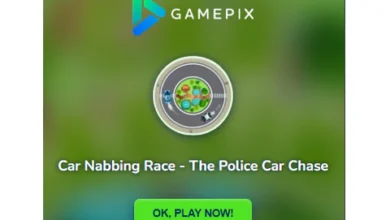 Car Nabbing Race – The Police Car Chase